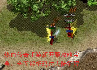 热血传奇手游新开服攻略宝典:全面解析玛法大陆征程 热血传奇手游新开服攻略宝典:全面解析玛法大陆征程