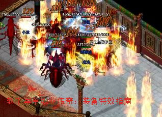նǧ����ְҵ���棺װ����Чָ��