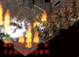 最新传奇开区网:新手必备攻略问答集锦 最新传奇开区网:新手必备攻略问答集锦