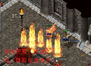 至尊无双:攻速之神,体验极速快感 至尊无双:攻速之神,体验极速快感