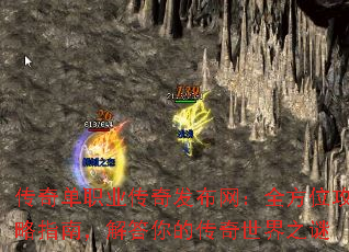���浥ְҵ���淢������ȫ��λ����ָ�ϣ������Ĵ�������֮��