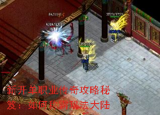 新开单职业传奇攻略秘笈:如何称霸玛法大陆 新开单职业传奇攻略秘笈:如何称霸玛法大陆