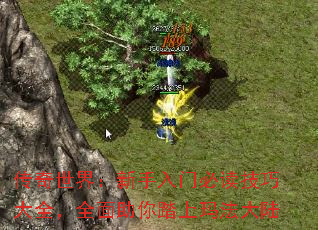 传奇世界:新手入门必读技巧大全,全面助你踏上玛法大陆 传奇世界:新手入门必读技巧大全,全面助你踏上玛法大陆