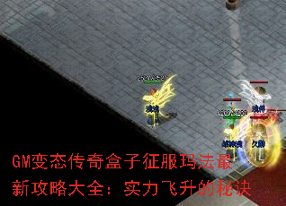 GM变态传奇盒子征服玛法最新攻略大全:实力飞升的秘诀 GM变态传奇盒子征服玛法最新攻略大全:实力飞升的秘诀