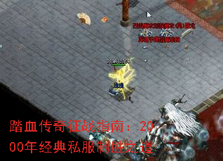 踏血传奇征战指南:2000年经典私服制胜之道 踏血传奇征战指南:2000年经典私服制胜之道