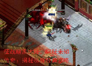 征战暗黑大陆,探秘未知传奇:揭秘私服经典攻略 征战暗黑大陆,探秘未知传奇:揭秘私服经典攻略