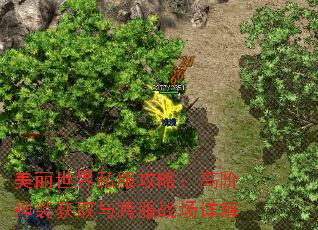 美丽世界私服攻略:高阶神装获取与跨服战场详解 美丽世界私服攻略:高阶神装获取与跨服战场详解