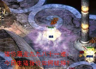 猪价屠龙九九八十一难:今日生猪报价如何破解? 猪价屠龙九九八十一难:今日生猪报价如何破解?
