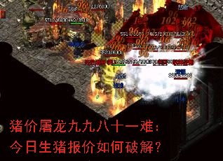 猪价屠龙九九八十一难:今日生猪报价如何破解? 猪价屠龙九九八十一难:今日生猪报价如何破解?