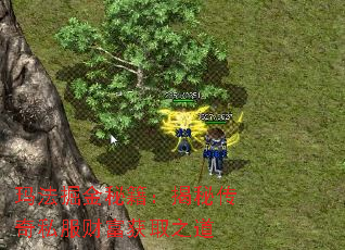 玛法掘金秘籍:揭秘传奇私服财富获取之道 玛法掘金秘籍:揭秘传奇私服财富获取之道