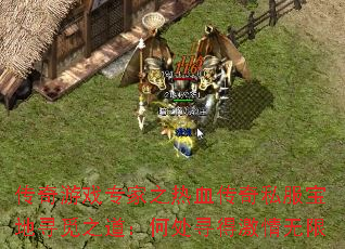 传奇游戏专家之热血传奇私服宝地寻觅之道:何处寻得激情无限 传奇游戏专家之热血传奇私服宝地寻觅之道:何处寻得激情无限