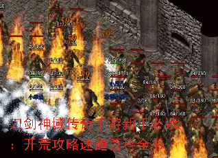 �����������������ֱض������Ĺ�����ͨ�ٿ�ȫ��