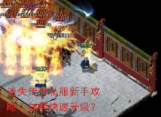 迷失传奇私服新手攻略:如何快速升级? 迷失传奇私服新手攻略:如何快速升级?