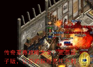 ���������Դ�ȫ����̬���Ӱ棬�����̽����������