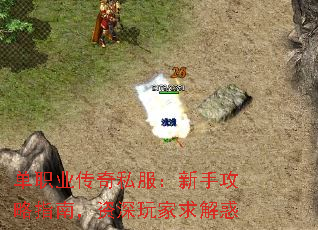 单职业传奇私服:新手攻略指南,资深玩家求解惑 单职业传奇私服:新手攻略指南,资深玩家求解惑
