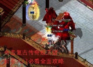 �ϻ����Ŵ������棺�������űؿ�ȫ�湥��
