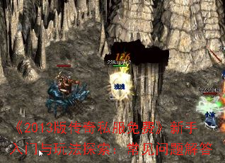 ��2013�洫��˽����ѡ������������淨̽��������������