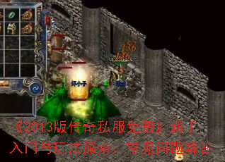 ��2013�洫��˽����ѡ������������淨̽��������������