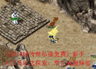 ��2013�洫��˽����ѡ������������淨̽��������������