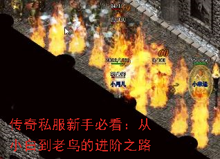 传奇私服新手必看:从小白到老鸟的进阶之路 传奇私服新手必看:从小白到老鸟的进阶之路