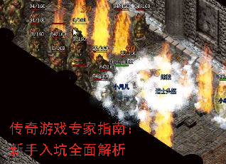 ������Ϸר��ָ�ϣ��������ȫ�����