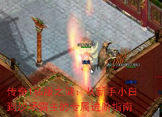 ����1˽��֮�գ�������С�׵�ɳ��������ר������ָ��