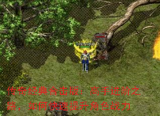 传奇经典合击版:高手进阶之路,如何快速提升角色战力 传奇经典合击版:高手进阶之路,如何快速提升角色战力