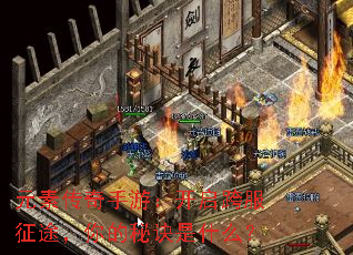 元素传奇手游:开启跨服征途,你的秘诀是什么? 元素传奇手游:开启跨服征途,你的秘诀是什么?