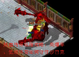 ��Ѫ����˽�����ԣ��߱��ʡ��͹���Ӫ�����סɳ�Ϳ�