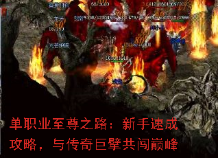 单职业至尊之路:新手速成攻略,与传奇巨擘共闯巅峰 单职业至尊之路:新手速成攻略,与传奇巨擘共闯巅峰