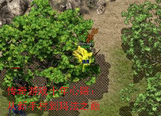 传奇游戏十年心路:从新手村到玛法之巅 传奇游戏十年心路:从新手村到玛法之巅