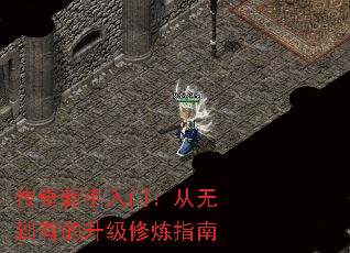传奇新手入门:从无到有的升级修炼指南 传奇新手入门:从无到有的升级修炼指南