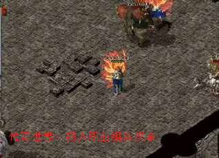 传奇世界:初入职业组合攻略 传奇世界:初入职业组合攻略