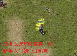 盛世龙城攻略宝典:从新手入门到沙城称霸 盛世龙城攻略宝典:从新手入门到沙城称霸