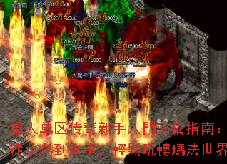 单人单区传奇新手入門必備指南:從菜鳥到高手,輕鬆玩轉瑪法世界 单人单区传奇新手入門必備指南:從菜鳥到高手,輕鬆玩轉瑪法世界