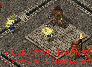 单人单区传奇新手入門必備指南:從菜鳥到高手,輕鬆玩轉瑪法世界 单人单区传奇新手入門必備指南:從菜鳥到高手,輕鬆玩轉瑪法世界