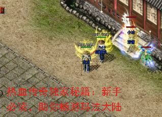 热血传奇独家秘籍:新手必读,助你畅游玛法大陆 热血传奇独家秘籍:新手必读,助你畅游玛法大陆