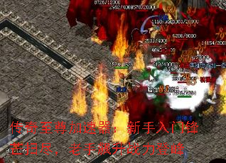 传奇至尊加速器:新手入门锋芒扫尽,老手飙升战力登峰 传奇至尊加速器:新手入门锋芒扫尽,老手飙升战力登峰