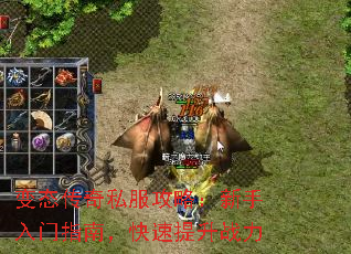 变态传奇私服攻略:新手入门指南,快速提升战力 变态传奇私服攻略:新手入门指南,快速提升战力
