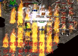 传奇霸业万载长存:初入沙场,新手求攻略指引 传奇霸业万载长存:初入沙场,新手求攻略指引