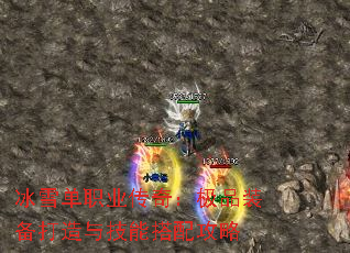 ��ѩ��ְҵ���棺��Ʒװ�������뼼�ܴ��乥��