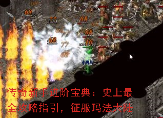 �������ֽ��ױ��䣺ʷ����ȫ����ָ���������귨��½