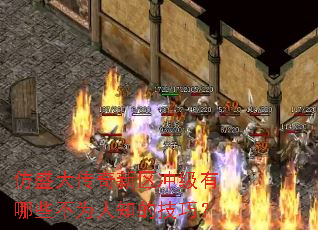 ��ʢ���������弶����Щ��Ϊ��֪�ļ��ɣ�