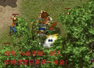 传奇176金币版:新人如何快速积累第一桶金? 传奇176金币版:新人如何快速积累第一桶金?