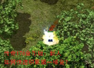 传奇176金币版:新人如何快速积累第一桶金? 传奇176金币版:新人如何快速积累第一桶金?