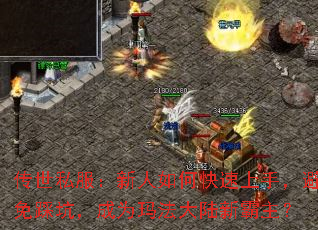 传世私服:新人如何快速上手,避免踩坑,成为玛法大陆新霸主? 传世私服:新人如何快速上手,避免踩坑,成为玛法大陆新霸主?