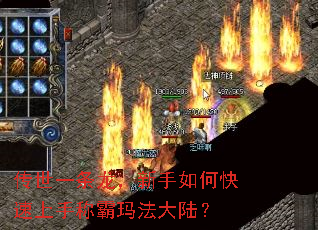 传世一条龙,新手如何快速上手称霸玛法大陆? 传世一条龙,新手如何快速上手称霸玛法大陆?