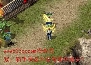 www523zgcom������Ϸ�����ֿ�����������Щ�ؾ���