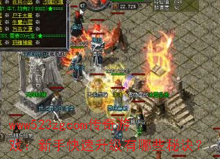 www523zgcom������Ϸ�����ֿ�����������Щ�ؾ���
