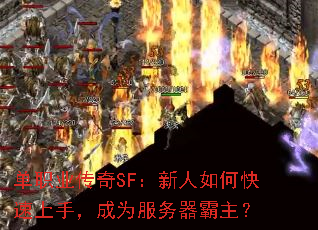 单职业传奇SF:新人如何快速上手,成为服务器霸主? 单职业传奇SF:新人如何快速上手,成为服务器霸主?